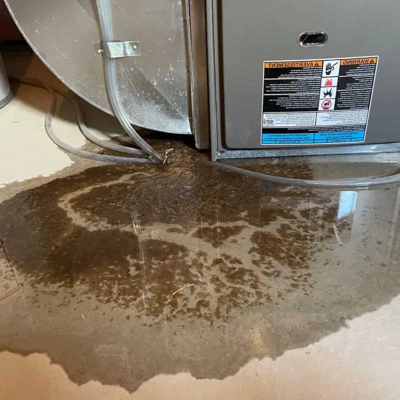 Pipe Burst and Leak Restoration in Wauwatosa, WI